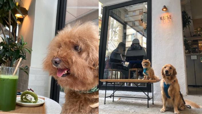 狗狗好去處、寵物友善餐廳、寵物cafe